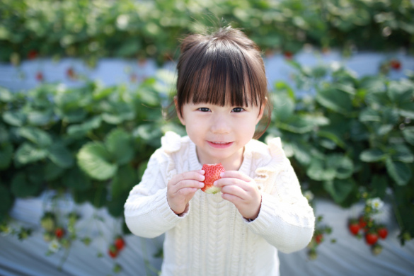 【幼稚園の幼稚園教諭】土日祝お休み、自主性や個性を伸ばす教育